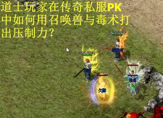 道士玩家在传奇私服PK中如何用召唤兽与毒术打出压制力？