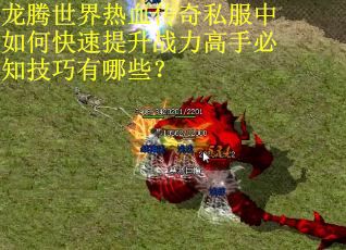 龙腾世界热血传奇私服中如何快速提升战力高手必知技巧有哪些？