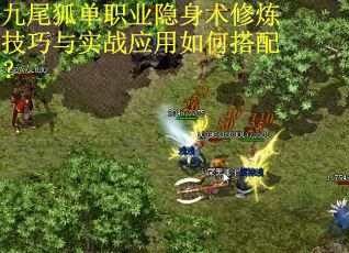 九尾狐单职业隐身术修炼技巧与实战应用如何搭配？