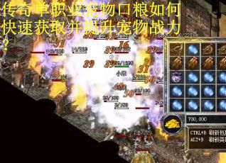 传奇单职业宠物口粮如何快速获取并提升宠物战力？