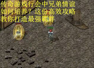 传奇游戏行会中兄弟情谊如何培养？这份高效攻略教你打造最强羁绊