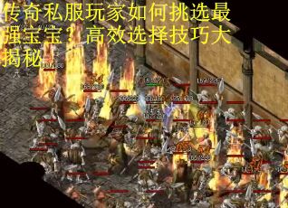 传奇私服玩家如何挑选最强宝宝？高效选择技巧大揭秘