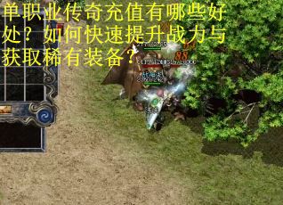 单职业传奇充值有哪些好处？如何快速提升战力与获取稀有装备？
