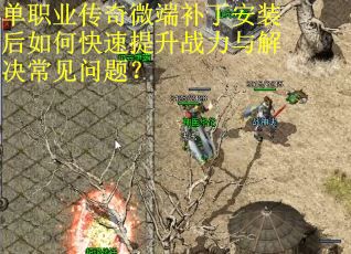 单职业传奇微端补丁安装后如何快速提升战力与解决常见问题？