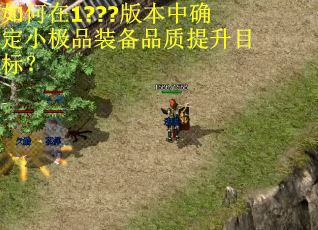 如何在1???版本中确定小极品装备品质提升目标？