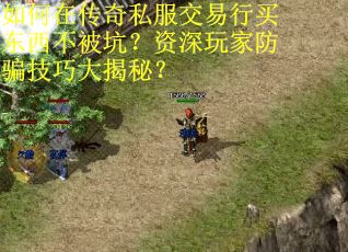 如何在传奇私服交易行买东西不被坑？资深玩家防骗技巧大揭秘？