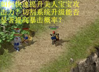 如何快速提升美人宝宝攻击力？切割系统升级能否显著提高暴击概率？