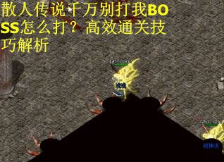 散人传说千万别打我BOSS怎么打？高效通关技巧解析
